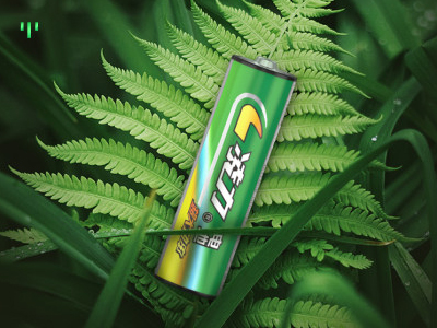 什麽是環保型碳性電池